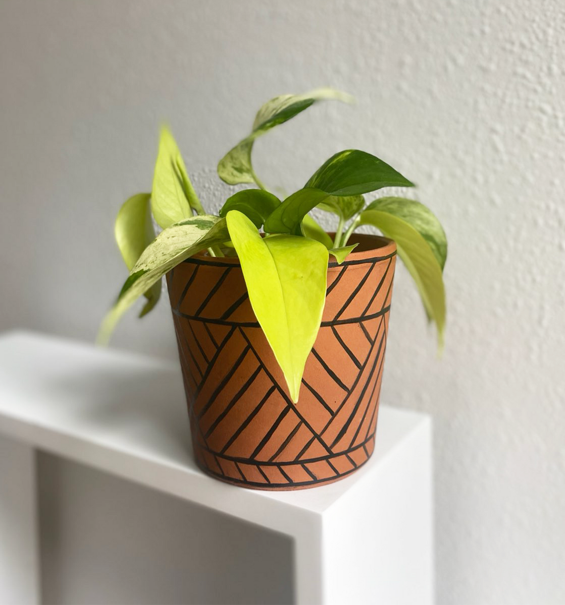 black geometric plant pot The Black Geometric Planter – Plantlandia