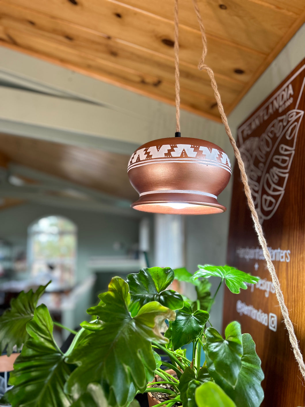pendant plant grow light The Original Grow Light – Plantlandia