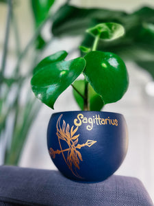 The Sagittarius Planter