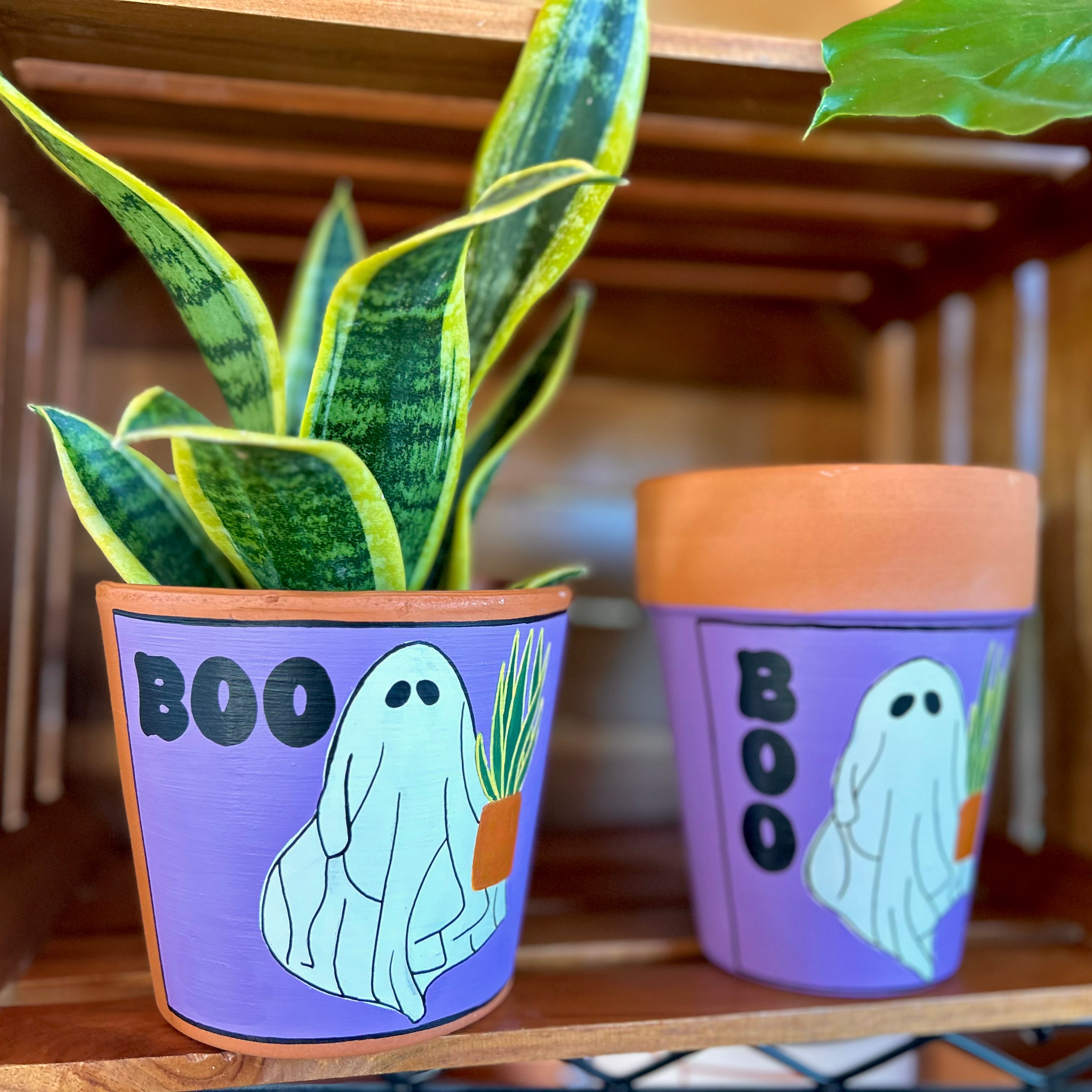 The Ghost Planter – Plantlandia