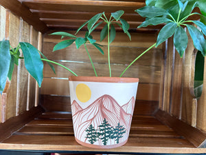 The Sun & Slopes Planter