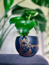 Load image into Gallery viewer, The Capricorn Planter
