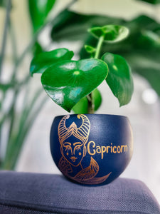 The Capricorn Planter