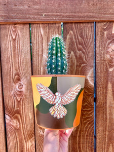 The Hawk Planter