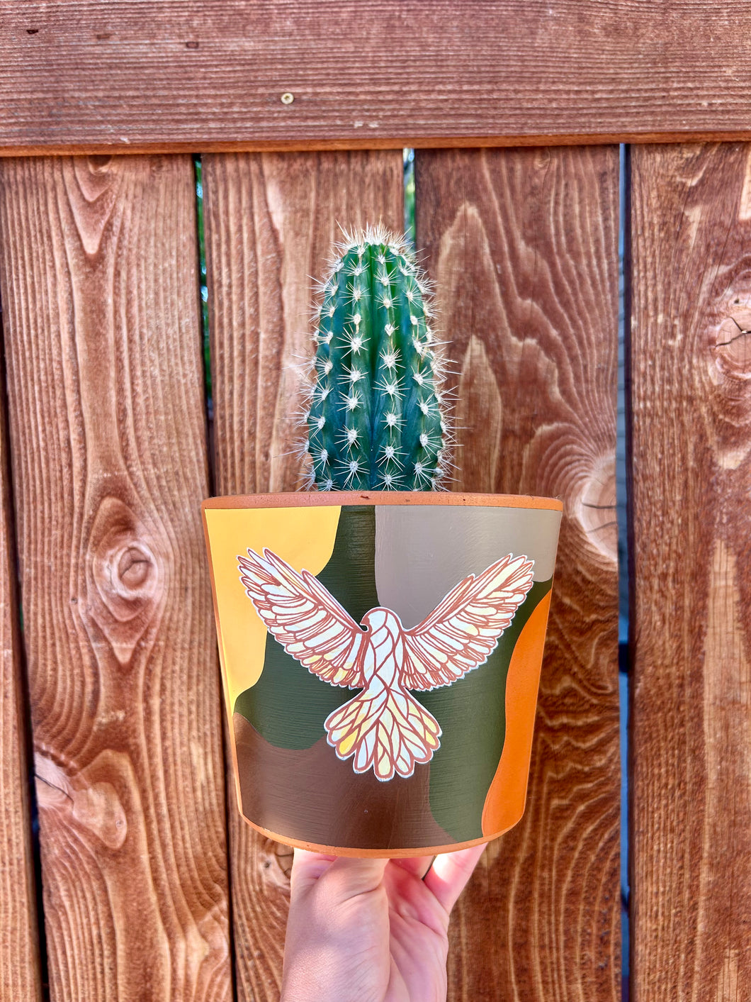 The Hawk Planter