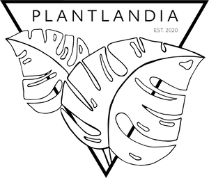 Plantlandia