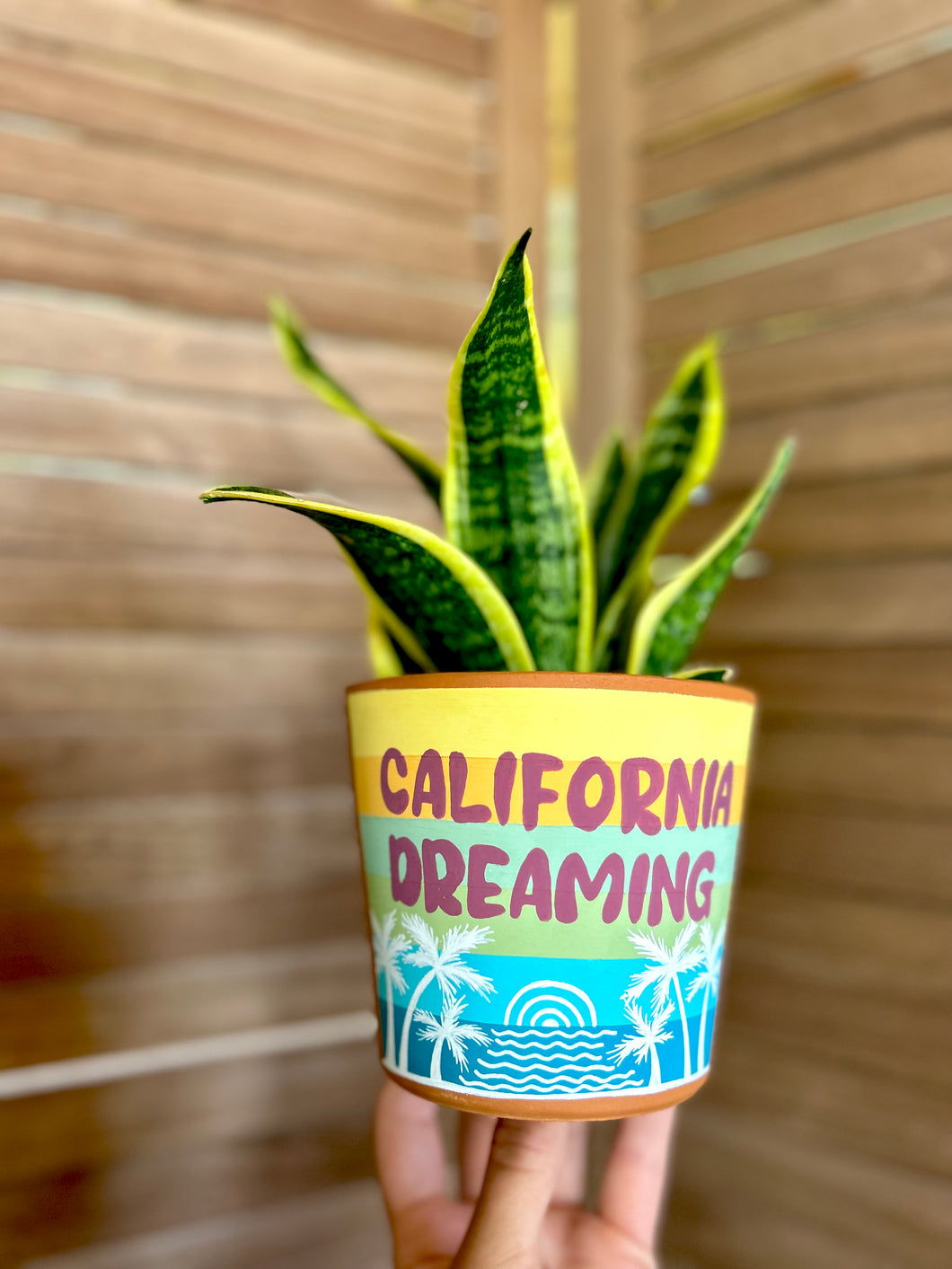 The California Dreaming Planter