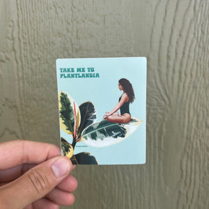 The Ficus Calm Sticker