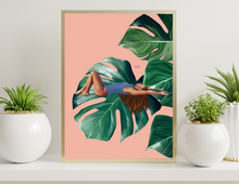 Load image into Gallery viewer, Monstera Bliss - Print
