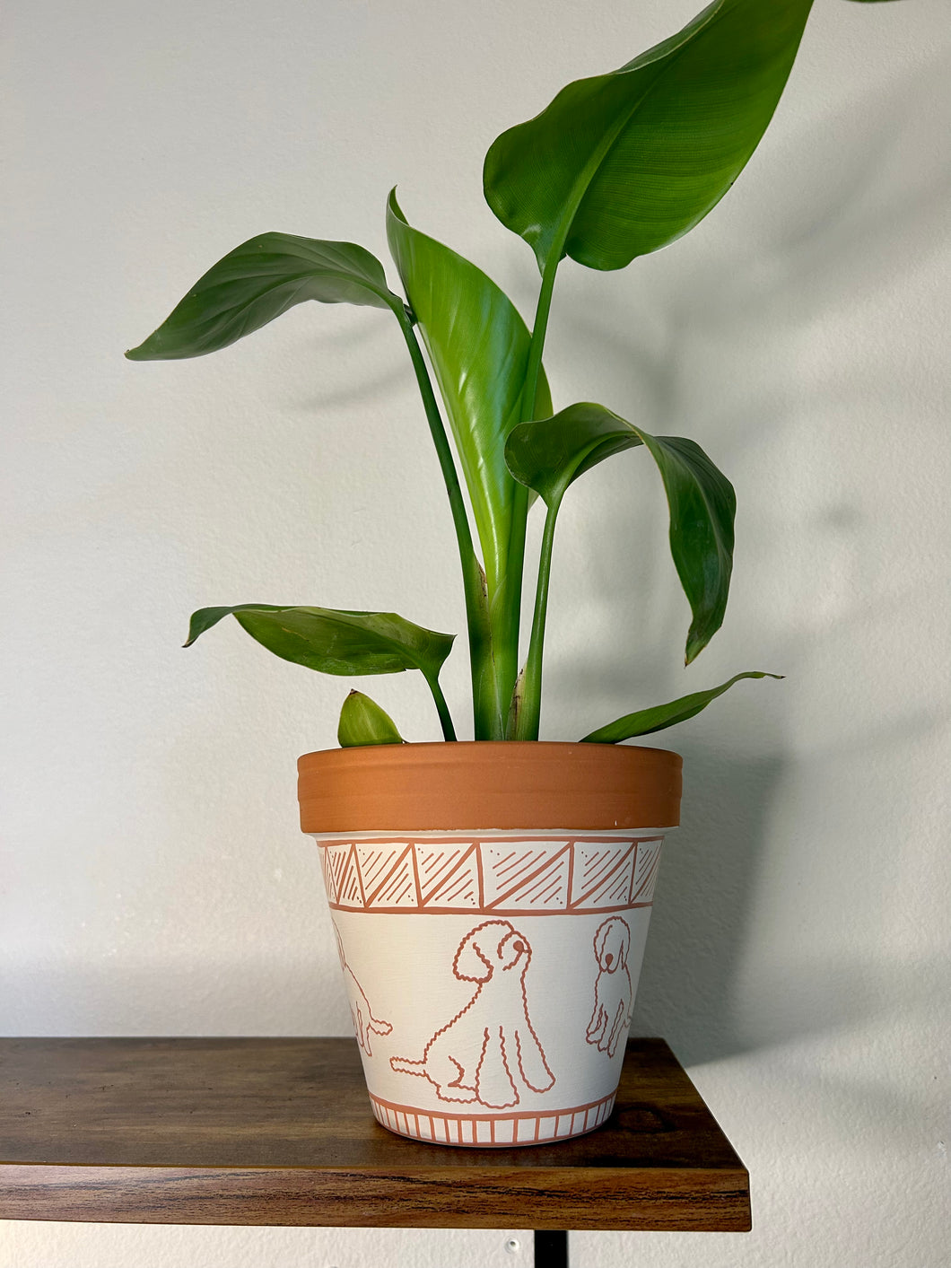 The Doodle Planter