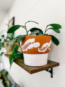 The Feelin' Wavy Planter