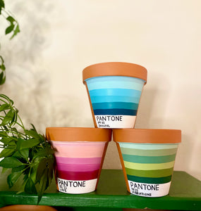 The PLANTone Monthly Planters