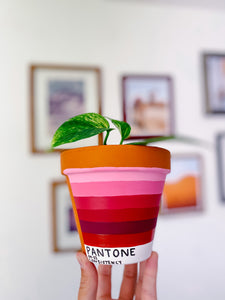 The PLANTone Monthly Planters