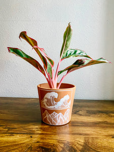 The Slopes & Waves Planter