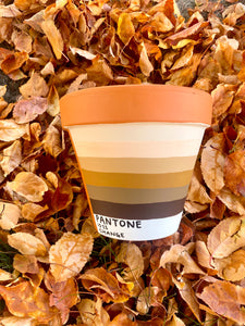 The PLANTone Monthly Planters