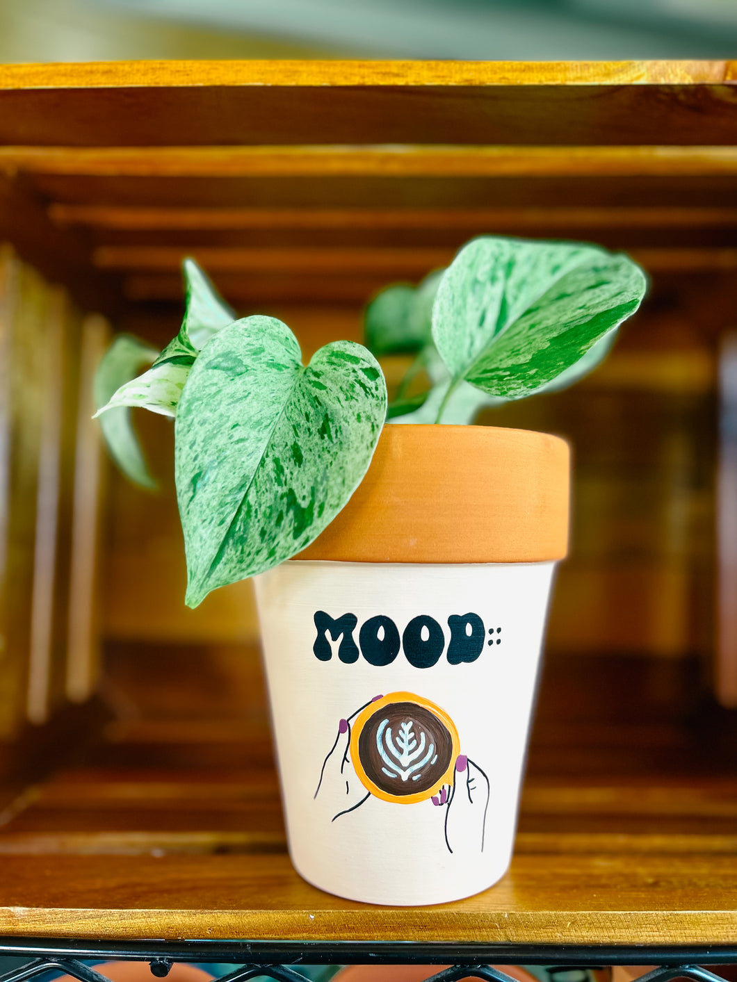 The Mood Planters