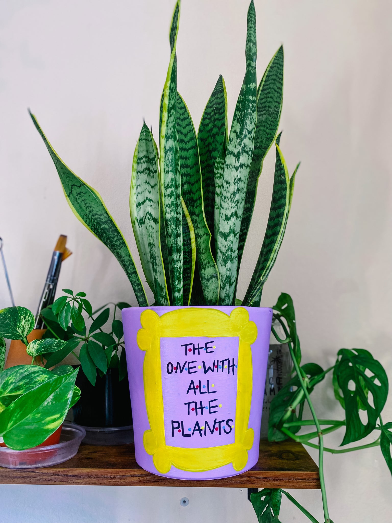 friends plant pot The Friends Planter – Plantlandia