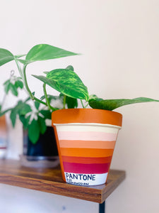 The PLANTone Monthly Planters