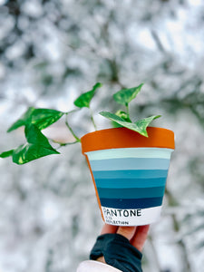 The PLANTone Monthly Planters